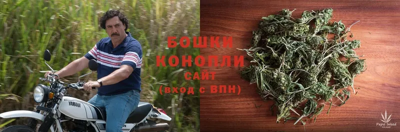 цена   кракен tor  Шишки марихуана LSD WEED  Майкоп 